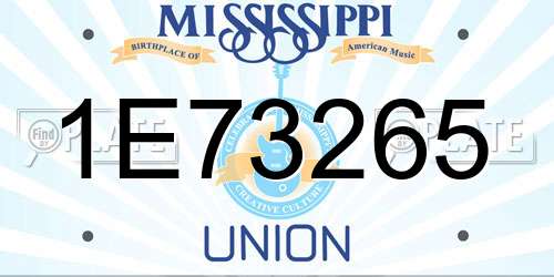 1E73265 Mississippi License Plate