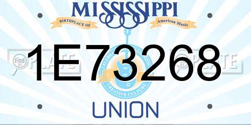 1E73268 Mississippi License Plate