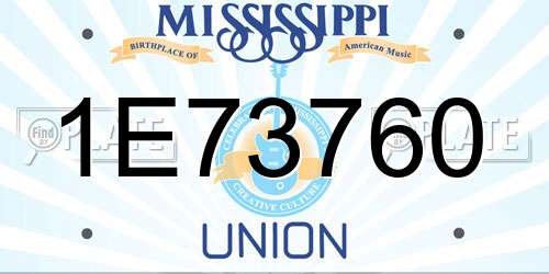 1E73760 Mississippi License Plate