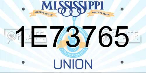 1E73765 Mississippi License Plate