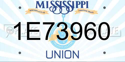 1E73960 Mississippi License Plate