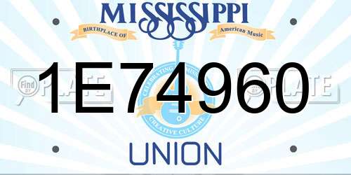 1E74960 Mississippi License Plate