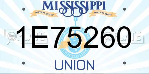 1E75260 Mississippi License Plate