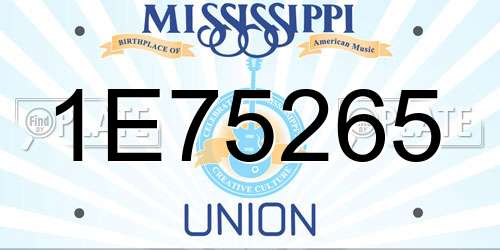 1E75265 Mississippi License Plate