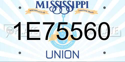 1E75560 Mississippi License Plate