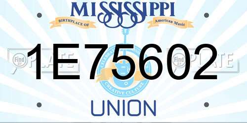 1E75602 Mississippi License Plate