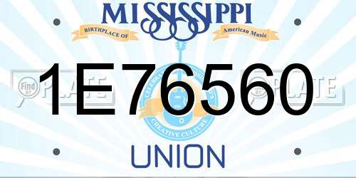 1E76560 Mississippi License Plate