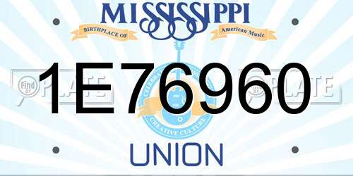 1E76960 Mississippi License Plate
