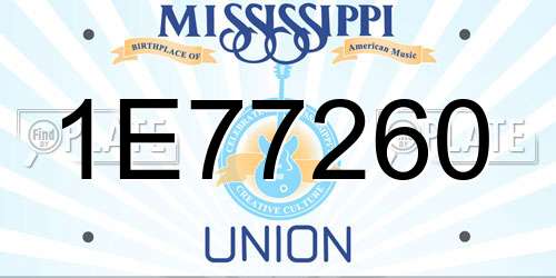 1E77260 Mississippi License Plate