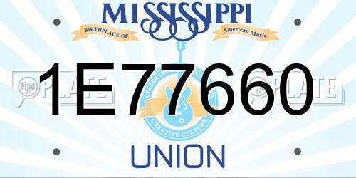 1E77660 Mississippi License Plate