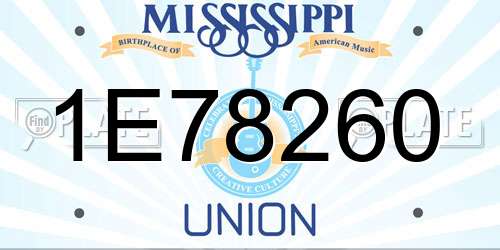 1E78260 Mississippi License Plate
