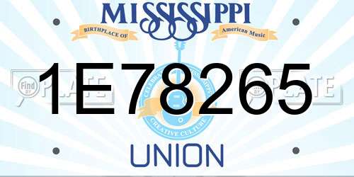 1E78265 Mississippi License Plate