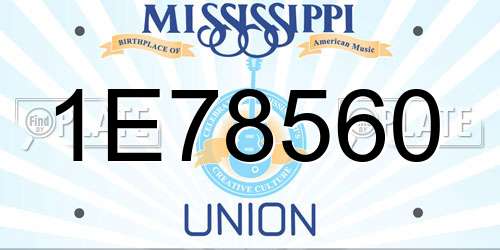1E78560 Mississippi License Plate