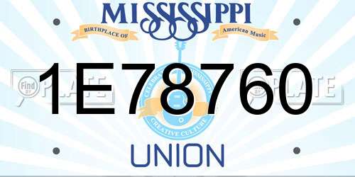 1E78760 Mississippi License Plate