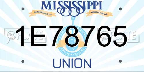 1E78765 Mississippi License Plate
