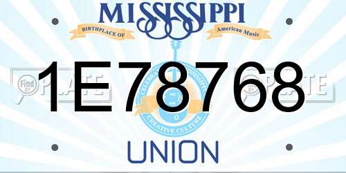 1E78768 Mississippi License Plate