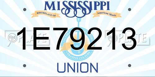 1E79213 Mississippi License Plate