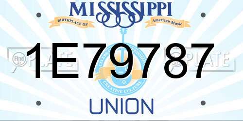 1E79787 Mississippi License Plate