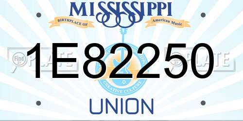 1E82250 Mississippi License Plate