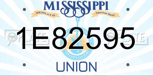 1E82595 Mississippi License Plate