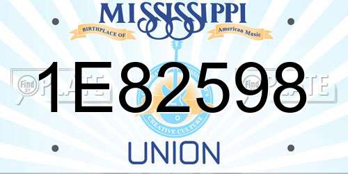 1E82598 Mississippi License Plate