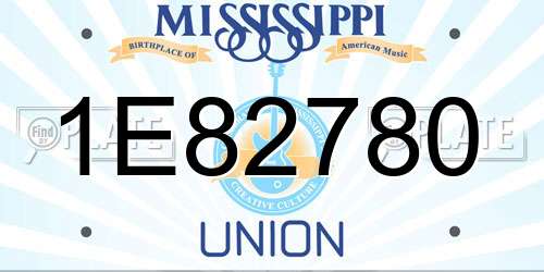 1E82780 Mississippi License Plate