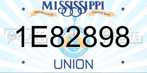 1E82898 Mississippi License Plate