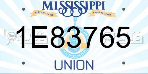 1E83765 Mississippi License Plate