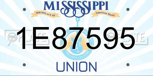 1E87595 Mississippi License Plate
