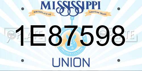 1E87598 Mississippi License Plate