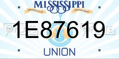 1E87619 Mississippi License Plate