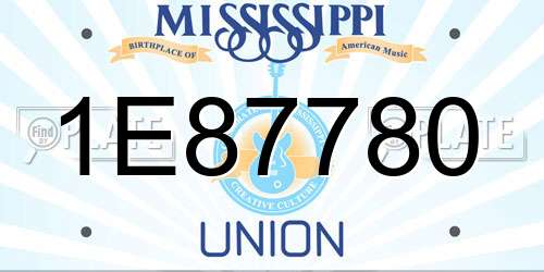 1E87780 Mississippi License Plate
