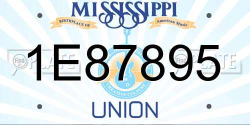1E87895 Mississippi License Plate