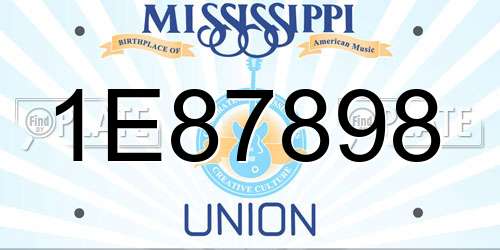 1E87898 Mississippi License Plate