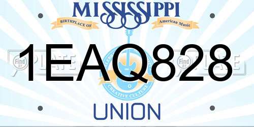 1EAQ828 Mississippi License Plate