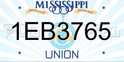 1EB3765 Mississippi License Plate