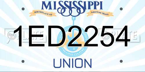 1ED2254 Mississippi License Plate