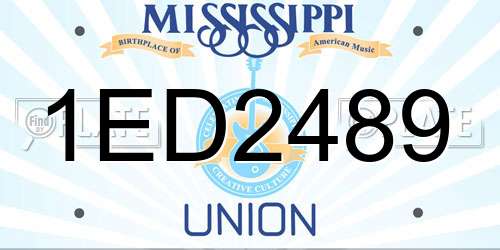 1ED2489 Mississippi License Plate