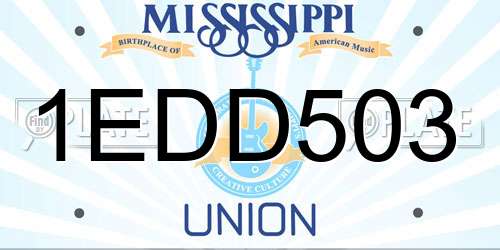 1EDD503 Mississippi License Plate
