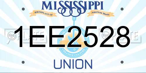 1EE2528 Mississippi License Plate