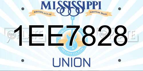 1EE7828 Mississippi License Plate