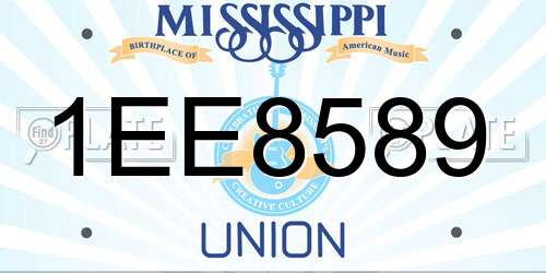 1EE8589 Mississippi License Plate
