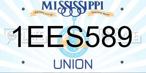 1EES589 Mississippi License Plate