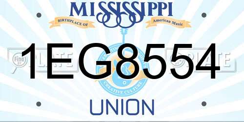 1EG8554 Mississippi License Plate