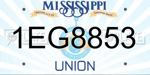 1EG8853 Mississippi License Plate