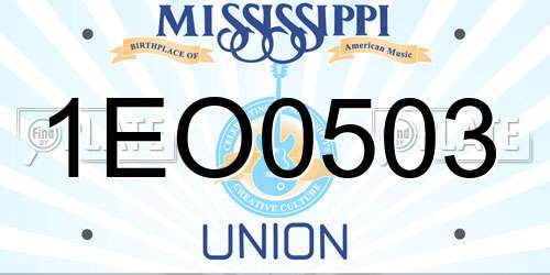 1EO0503 Mississippi License Plate