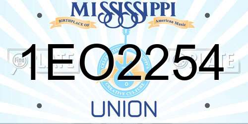 1EO2254 Mississippi License Plate