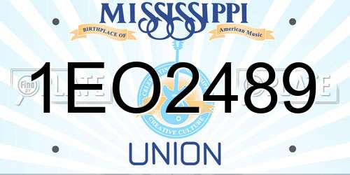 1EO2489 Mississippi License Plate