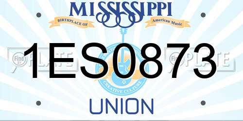 1ES0873 Mississippi License Plate