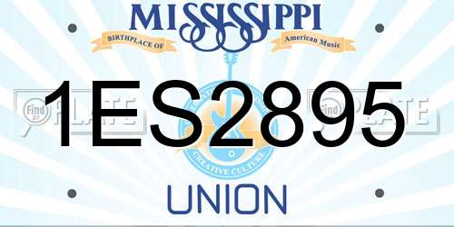 1ES2895 Mississippi License Plate